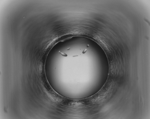 X0000097510208200802291625