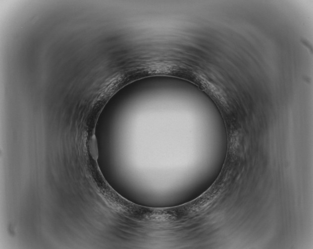 X0000097510209200802291625