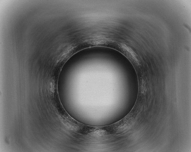 X0000097510210200802291625