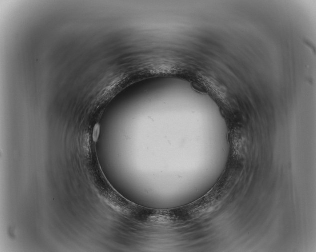 X0000097510211200802291625