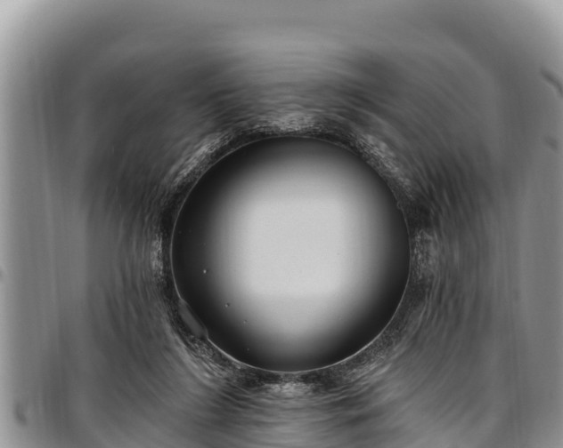 X0000097510212200802291625