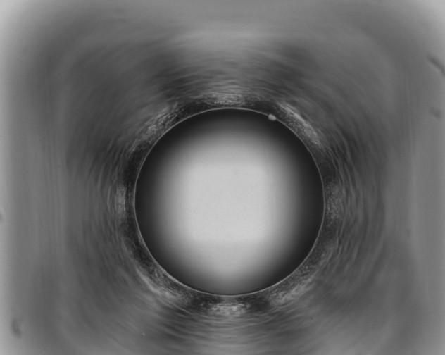 X0000097510213200802291625