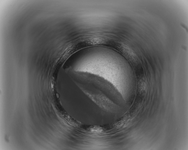 X0000097510214200802291625