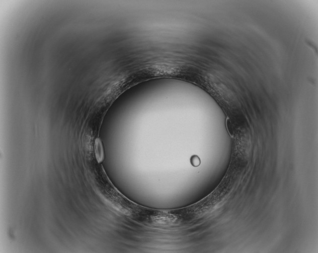 X0000097510215200802291625