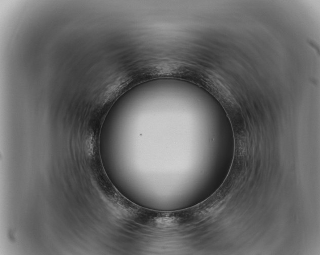 X0000097510216200802291625