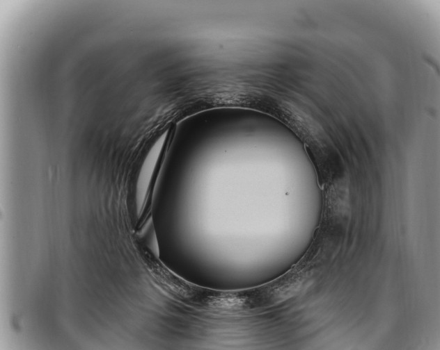 X0000097510217200802291625