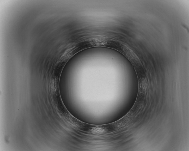 X0000097510218200802291625