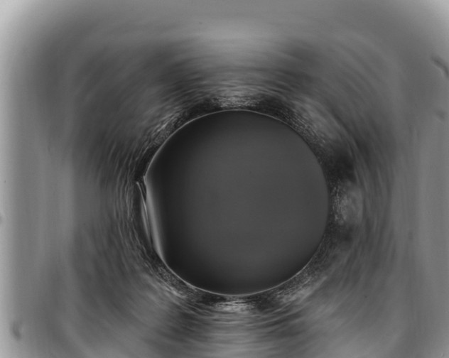 X0000097510219200802291625