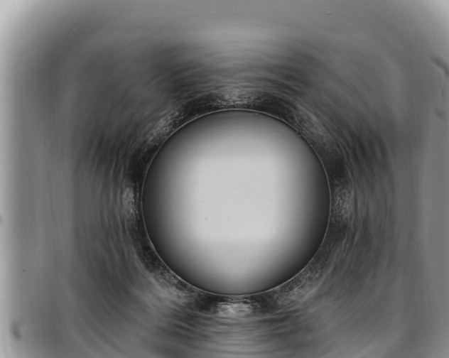 X0000097510220200802291625