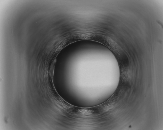 X0000097510221200802291625