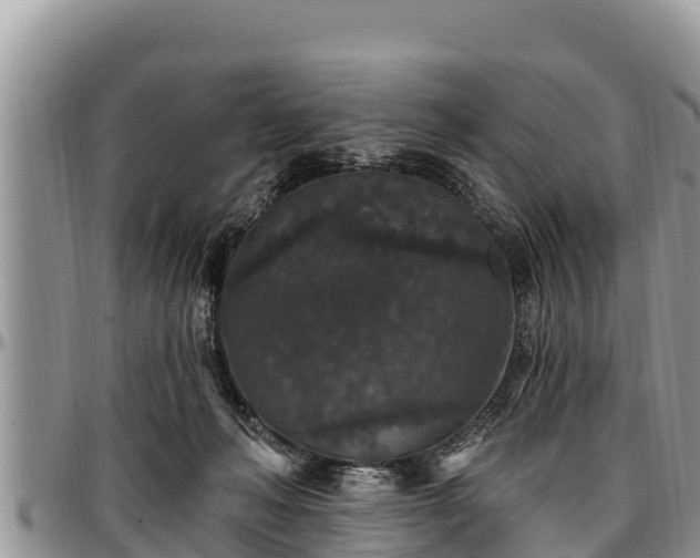 X0000097510222200802291625