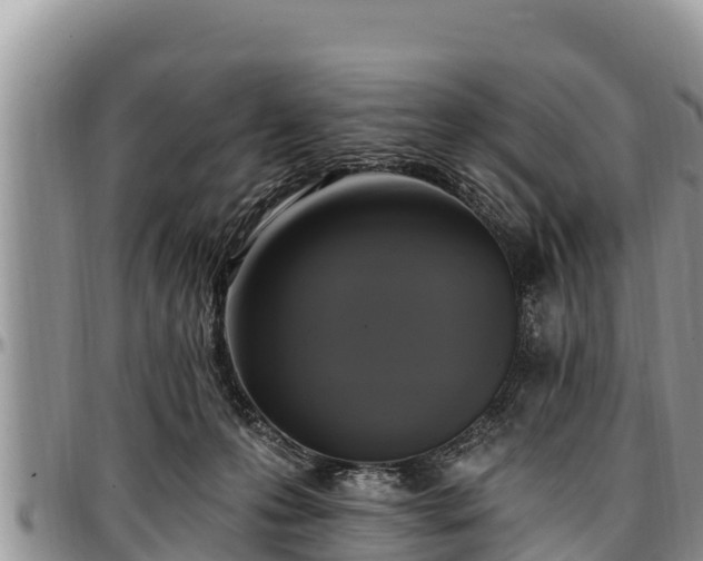 X0000097510223200802291625