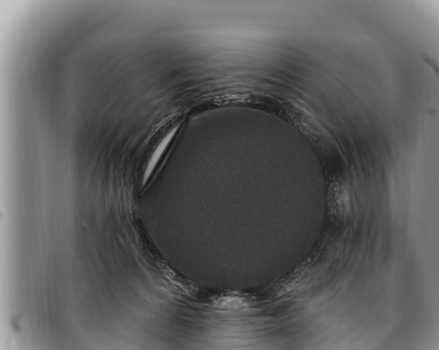 X0000097510224200802291625