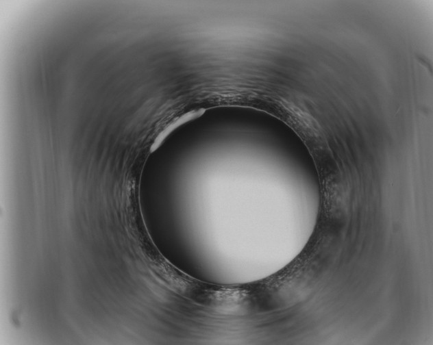 X0000097510225200802291625