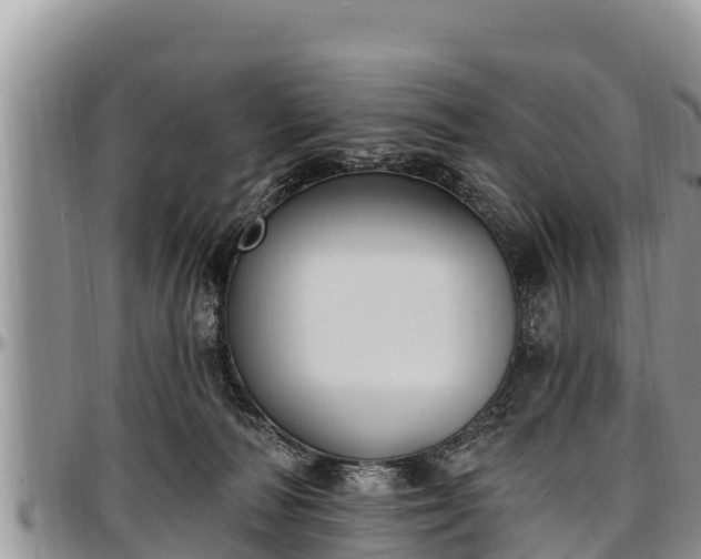 X0000097510226200802291625