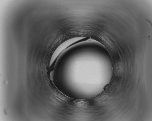 X0000097510229200802291625