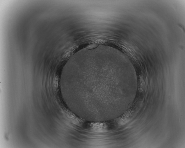 X0000097510230200802291625