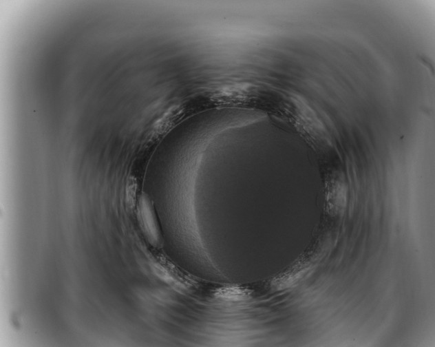 X0000097510231200802291625