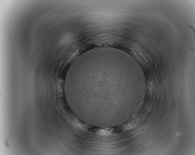 X0000097510232200802291625