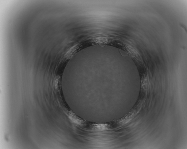 X0000097510233200802291625