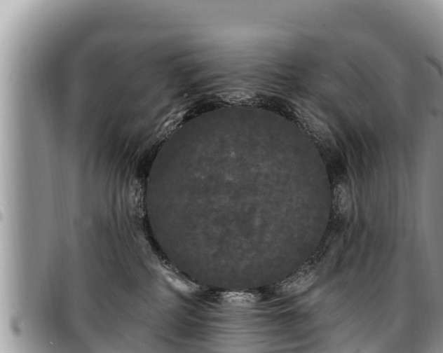 X0000097510234200802291625