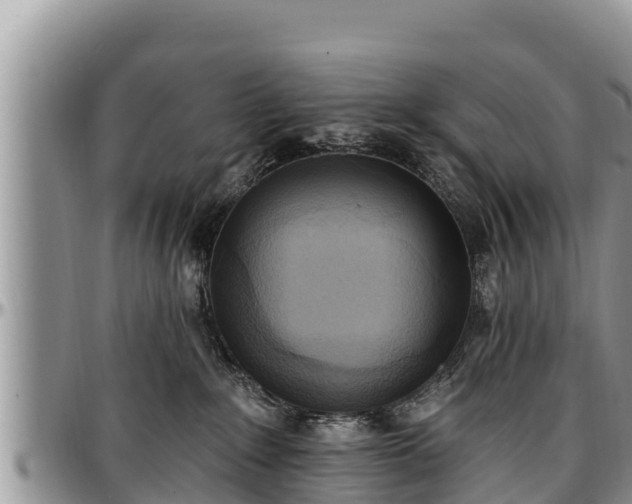 X0000097510235200802291625