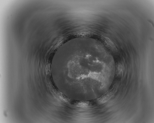 X0000097510236200802291625