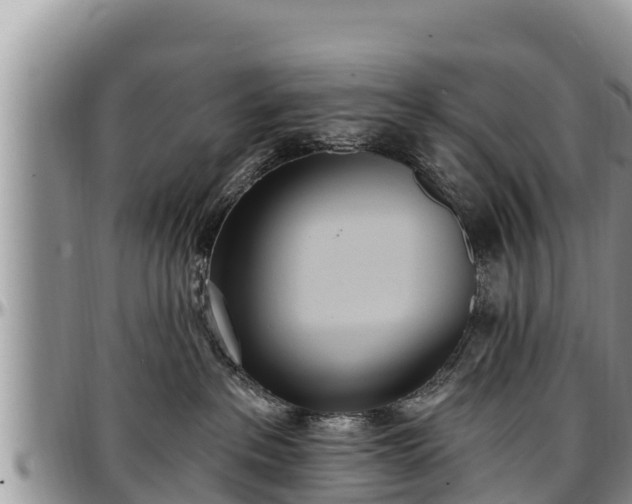 X0000097510237200802291625