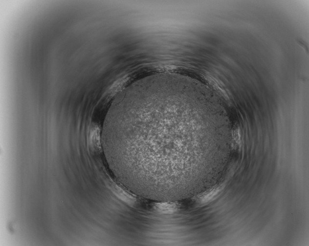 X0000097510238200802291625