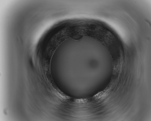 X0000097510239200802291625