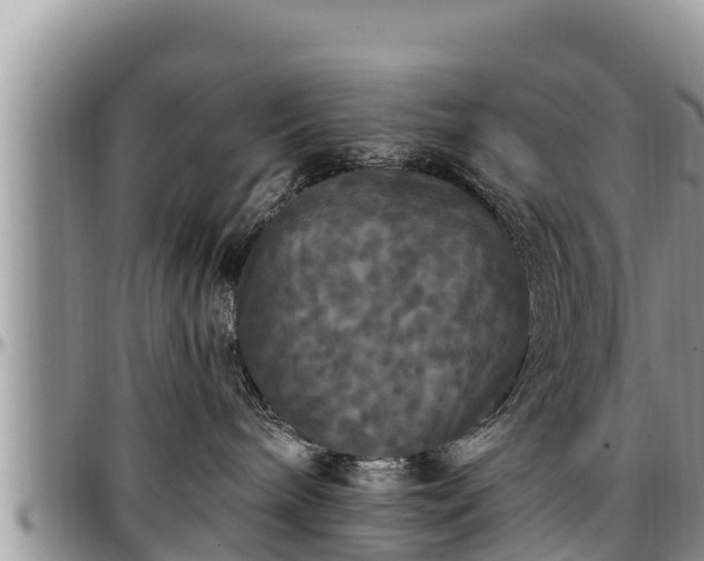 X0000097510240200802291625