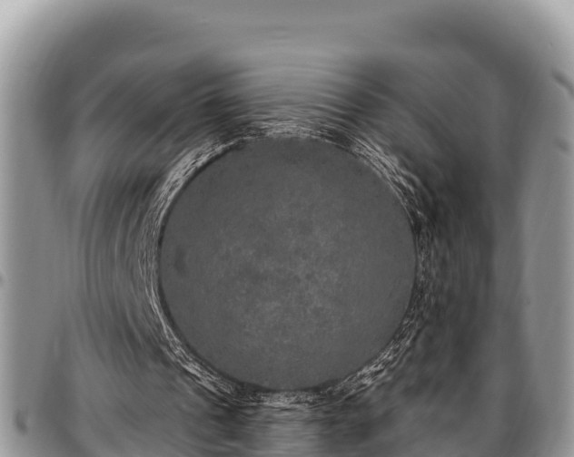 X0000097510241200802291624