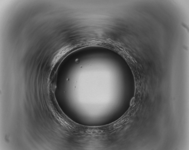 X0000097510242200802291624