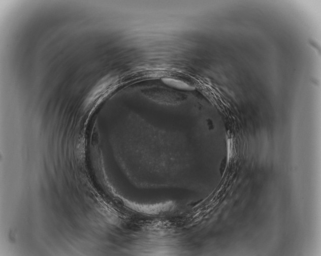 X0000097510243200802291624