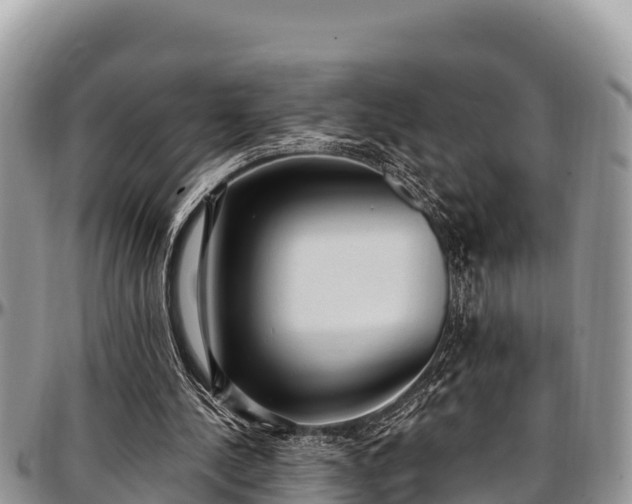 X0000097510244200802291624