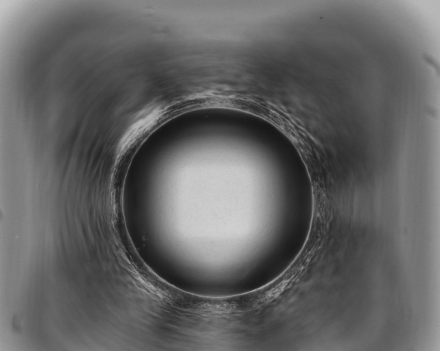 X0000097510245200802291624