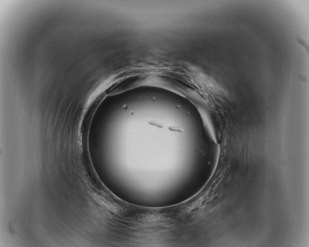 X0000097510246200802291624