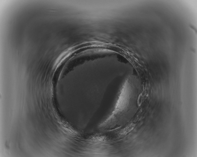 X0000097510247200802291624