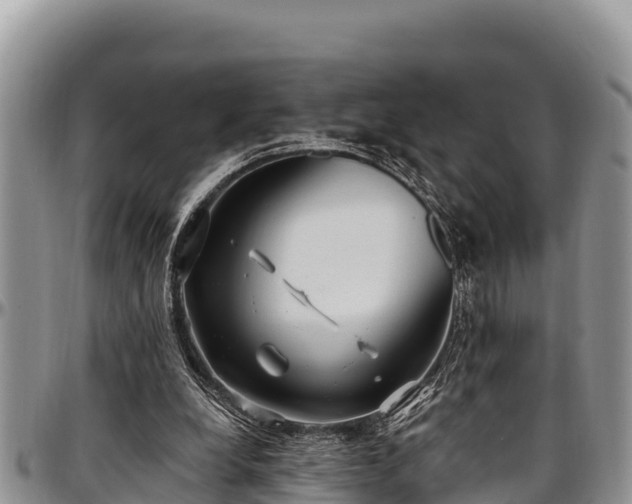 X0000097510248200802291624