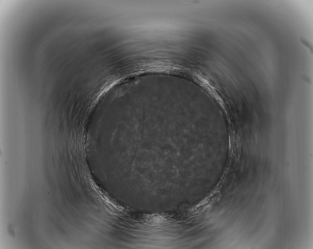 X0000097510249200802291624