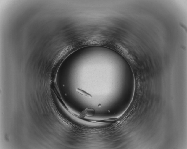 X0000097510250200802291624