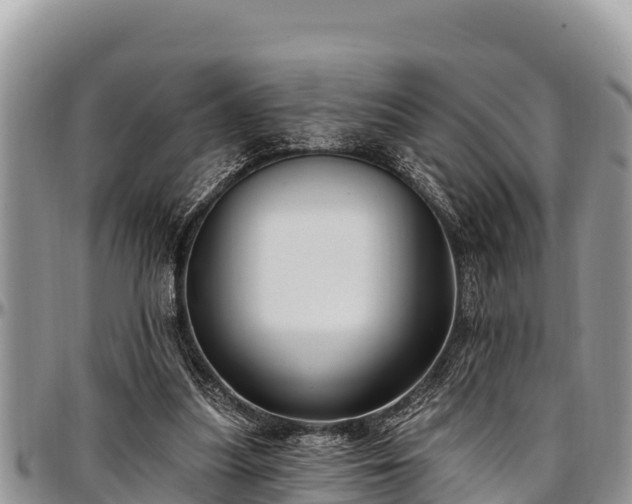 X0000097510251200802291624