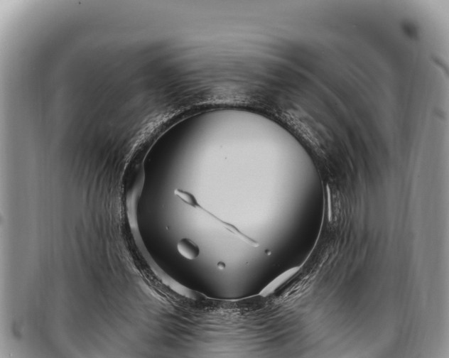 X0000097510252200802291624