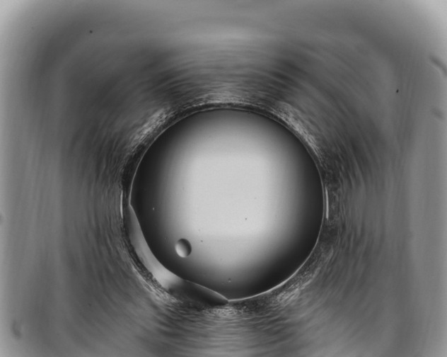 X0000097510253200802291624