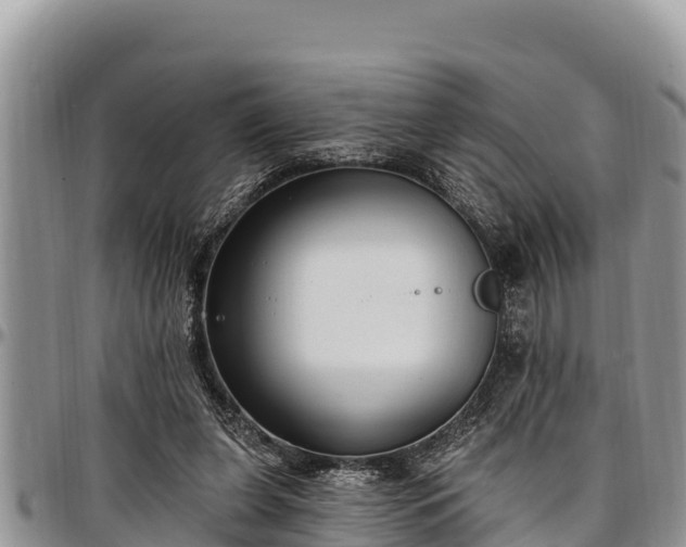 X0000097510255200802291624