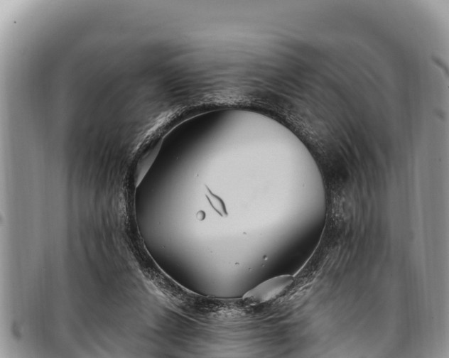 X0000097510256200802291624