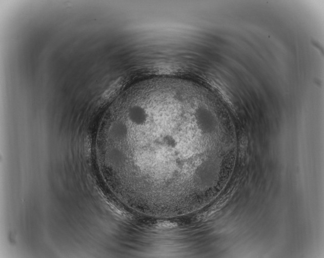 X0000097510257200802291624