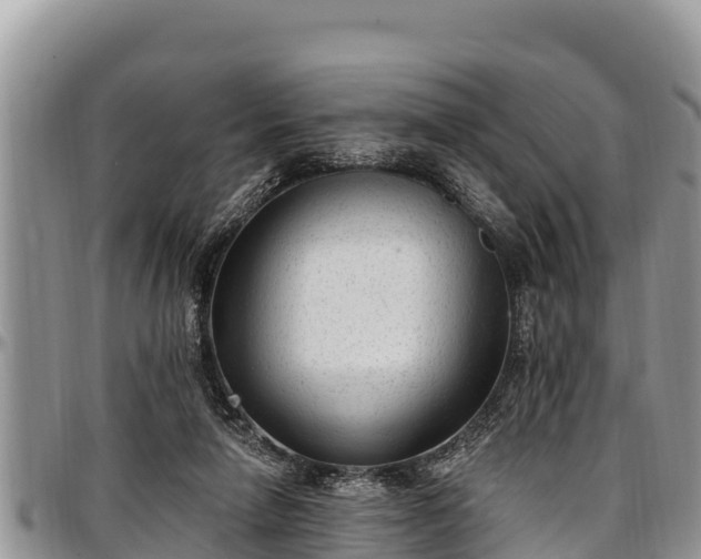 X0000097510258200802291624