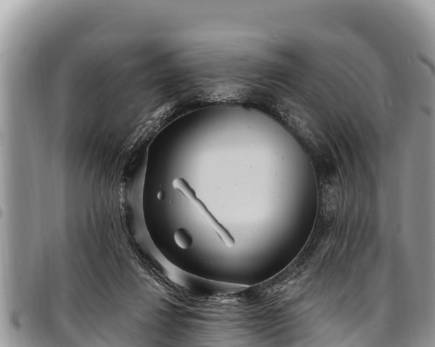 X0000097510260200802291624