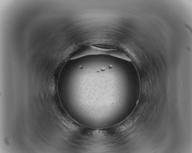 X0000097510261200802291624